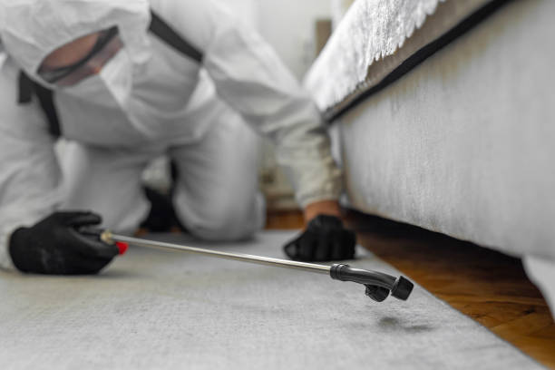 Professional Ant Control technician working in Lake Lorelei, OH