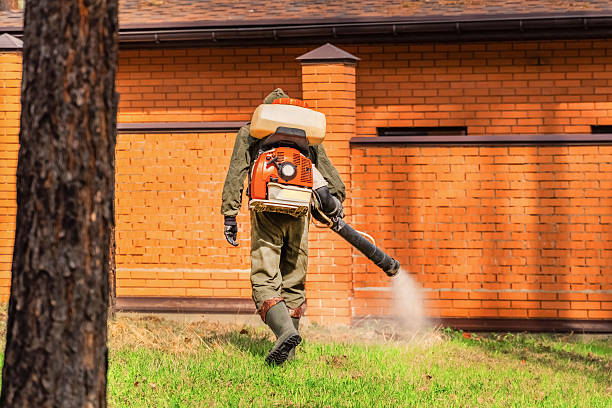 Trusted Bed Bug Control service in Lake Lorelei, OH - Nex Pest Control